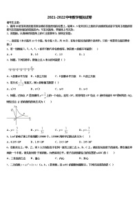 2022年湖南省长沙市长沙天心区青雅丽发校中考数学对点突破模拟试卷含解析