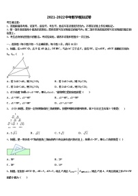 2022年湖北省宜昌市当阳市中考数学全真模拟试题含解析