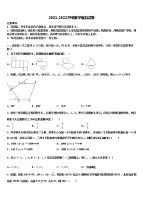 2022年安徽省郎溪二中学中考适应性考试数学试题含解析