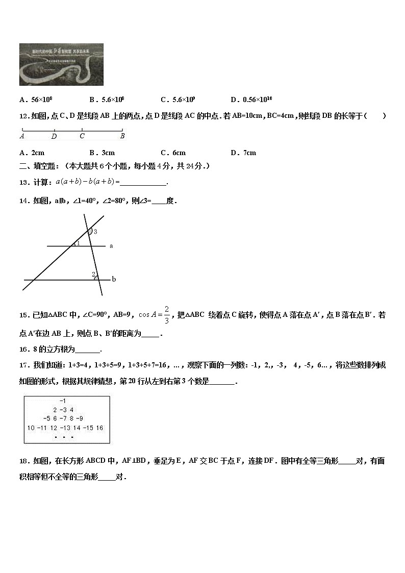 2022年安徽省六安市霍邱县中考数学五模试卷含解析第3页