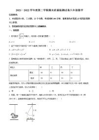 河南省驻马店市正阳县2021-2022学年八年级下学期期末数学试题(word版含答案)