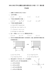 2021-2022学年安徽省合肥市肥东县七年级（下）期末数学试卷（含解析）