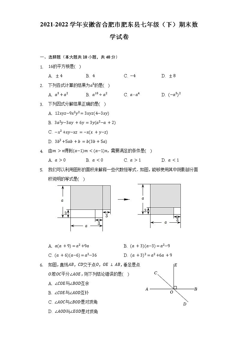 2021-2022学年安徽省合肥市肥东县七年级（下）期末数学试卷（含解析）第1页
