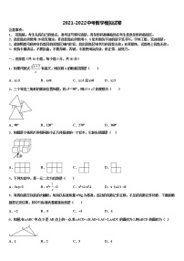 2022年江苏省泰州市姜堰区实验初级中学中考一模数学试题含解析