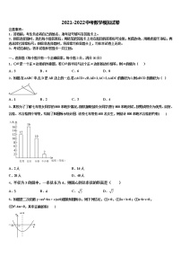 2022年乐山市沙湾区市级名校中考三模数学试题含解析