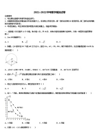 2022年江苏省南京溧水区中考数学模试卷含解析