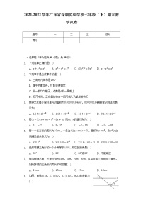 广东省深圳实验学校2021-2022学年七年级下学期期末数学试卷 (word版含答案)