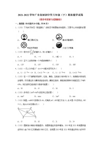 广东省深圳市罗湖区深圳中学2021-2022学年 八年级下学期数学期末试卷(word版含答案)