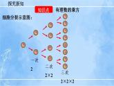 北师大版七年级上册教学课件—2.9 有理数的乘方（第1课时）