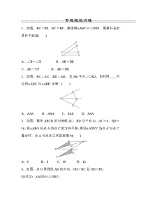 山东省2022年中考数学（五四制）一轮练习：小专题(三) 全等三角形的模型(含答案)