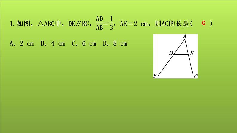 山东省2022年中考数学（五四制）一轮课件：第四章 第5课时 相似三角形06