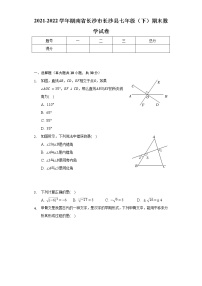 2021-2022学年湖南省长沙市长沙县七年级（下）期末数学试卷（Word解析版）