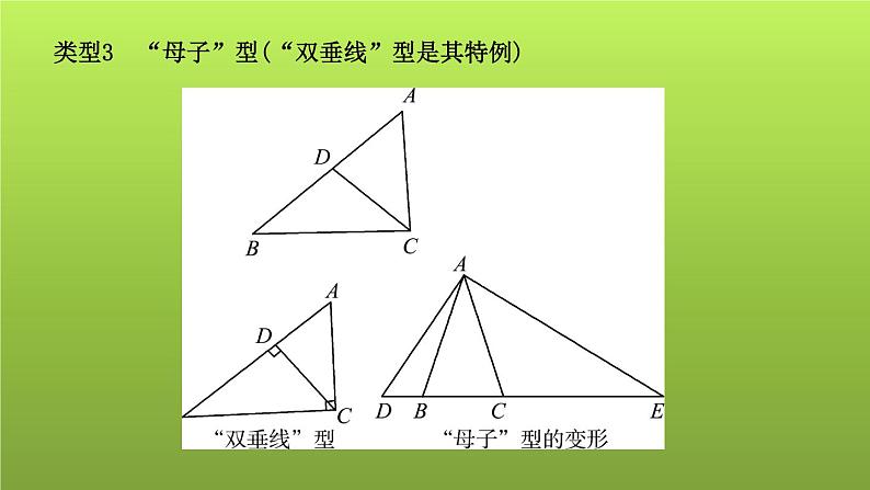 山东省2022年中考数学（五四制）一轮课件：小专题(四) 相似三角形的模型07