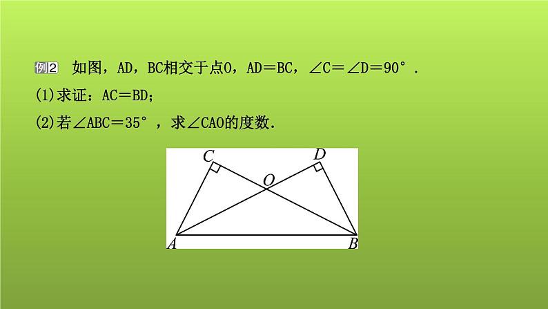 山东省2022年中考数学（五四制）一轮课件：小专题(三) 全等三角形的模型08