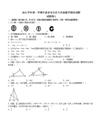 浙江省宁波市北仑区2021-2022学年八年级上学期期末数学试题(word版含答案)