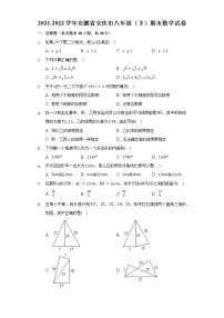 2021-2022学年安徽省安庆市八年级（下）期末数学试卷（Word解析版）