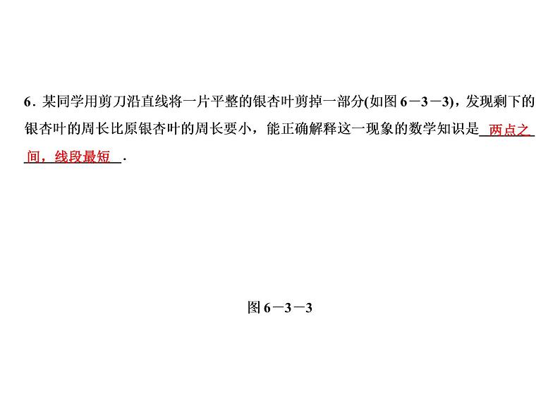 6.3 线段的长短比较-2022-2023学年七年级数学上册同步习题课件(浙教版)(共17张PPT)第8页