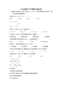 09 【人教版】七年级下期中数学试卷（含答案）