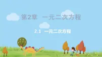 湘教版九年级上册2.1 一元二次方程习题课件ppt