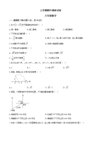 08 【人教版】八年级上期中数学试卷（含答案）