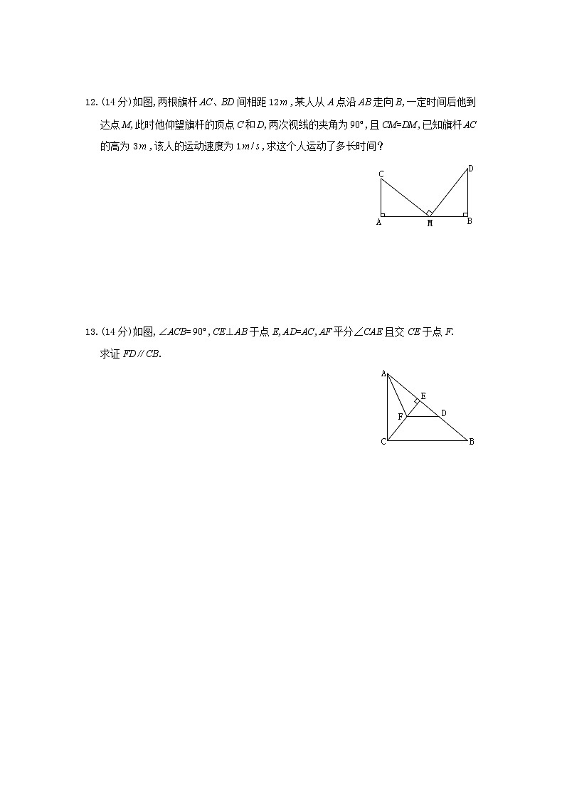 八年级上册数学 第12章 全等三角形期末复习卷及答案03
