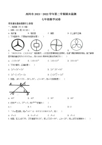 广东省茂名市高州市2021-2022学年七年级下学期期末数学试题(word版含答案)