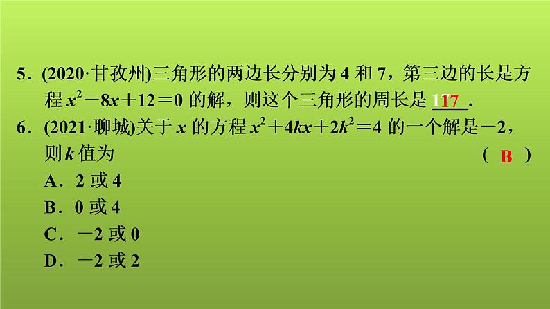 2022年中考数学人教版一轮复习讲练课件：第6课　一元二次方程的解法及应用第5页