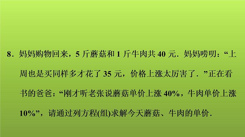 2022年中考数学人教版一轮复习讲练课件：第5课　一次方程(组)的解法及应用第8页