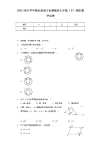 2021-2022学年湖北省咸宁市通城县七年级（下）期末数学试卷（Word解析版）