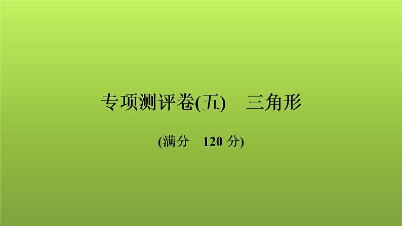 2022年中考数学人教版一轮复习讲练课件：专项测评卷(五)三角形第1页