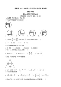 湖北省黄冈市2021-2022学年七年级下学期期末数学试题(word版含答案)