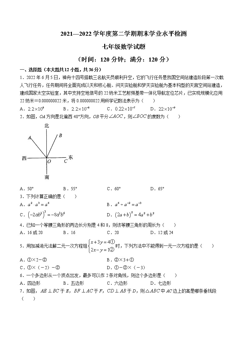 山东省聊城市莘县2021-2022学年七年级下学期期末数学试题(word版含答案)第1页