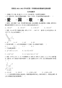 陕西省榆林市绥德县2021-2022学年七年级下学期期末数学试题(word版含答案)