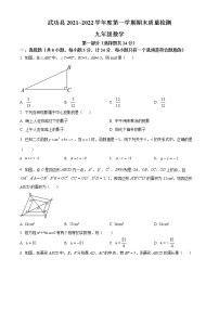 陕西省咸阳市武功县2021-2022学年九年级上学期期末数学试题(word版含答案)