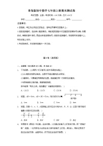 青岛版初中数学七年级上册期末测试卷（标准难度）（含答案解析）