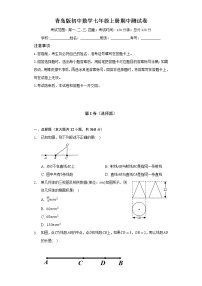 青岛版初中数学七年级上册期中测试卷（标准难度）（含答案解析）