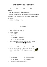 青岛版初中数学七年级上册期中测试卷（较易）（含答案解析）