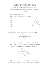 青岛版初中数学八年级上册期中测试卷（较易）（含答案解析）