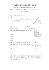 青岛版初中数学八年级上册期中测试卷（标准难度）（含答案解析）