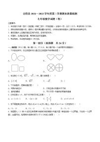 陕西省渭南市合阳县2021-2022学年七年级下学期期末数学试题(word版含答案)