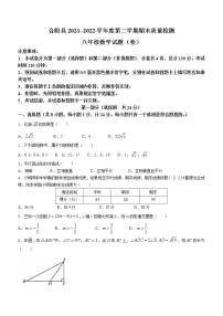 陕西省渭南市合阳县2021-2022学年八年级下学期期末数学试题(word版含答案)