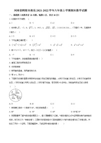 河南省鹤壁市浚县2021-2022学年八年级上学期期末数学试题(word版含答案)