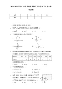 2021-2022学年广东省惠州市惠阳区八年级（下）期末数学试卷（Word解析版）