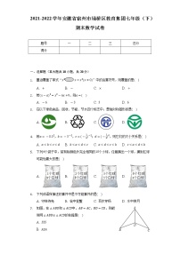 2021-2022学年安徽省宿州市埇桥区教育集团七年级（下）期末数学试卷-（Word解析版）