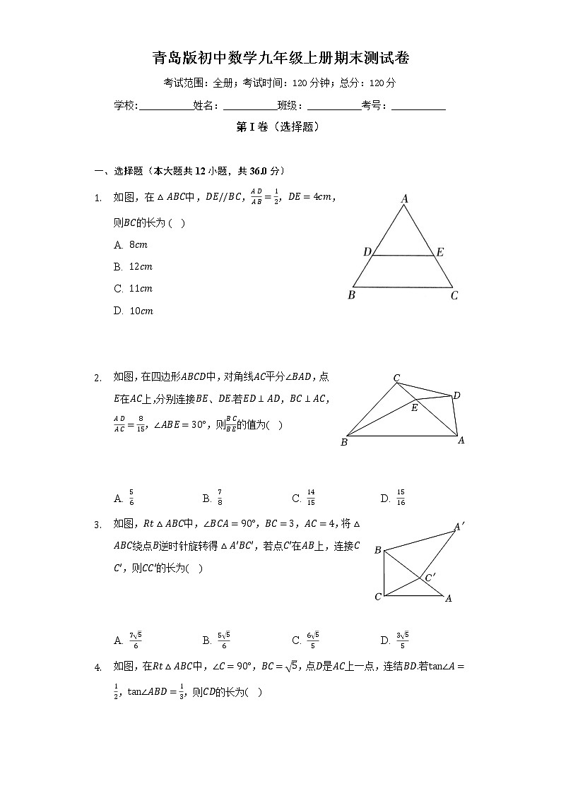 青岛版初中数学九年级上册期末测试卷（标准难度）（含答案解析）01