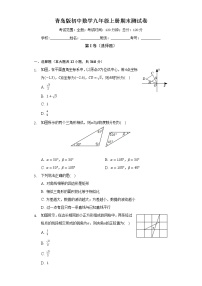 青岛版初中数学九年级上册期末测试卷（较易）（含答案解析）