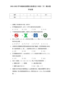 2021-2022学年湖南省邵阳市新邵县八年级（下）期末数学试卷(Word解析版）