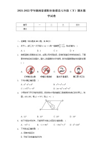 2021-2022学年湖南省邵阳市新邵县七年级（下）期末数学试卷(Word解析版）