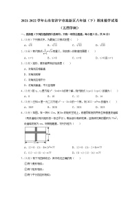 山东省济宁市高新区2021-2022学年八年级下学期期末数学试卷（五四学制）(word版含答案)