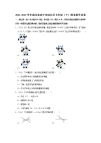 湖北省咸宁市咸安区2021-2022学年下学期七年级期末数学试卷(word版含答案)